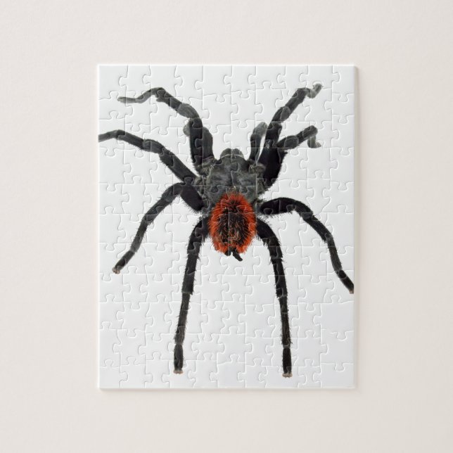 Puzzle Tarantula (Vertical)