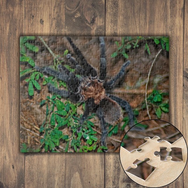 Puzzle Tarantule Brune du Texas (Texas Brown Tarantula Jigsaw Puzzle)