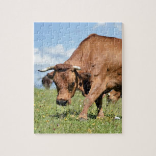 Puzzle Tarine cow in the French Alps