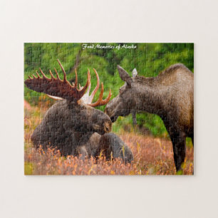 Puzzle Taureau et vache orignal Alaska. Salutations de No