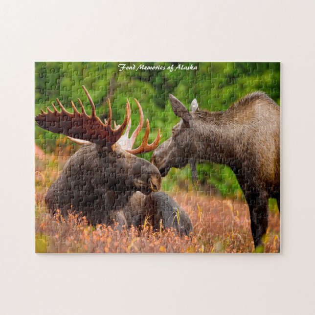 Puzzle Taureau et vache orignal Alaska. Salutations de No (Horizontal)