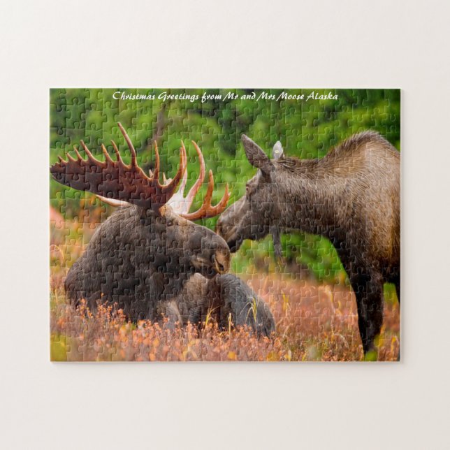 Puzzle Taureau et vache orignal Alaska. Vœux de Noël (Horizontal)