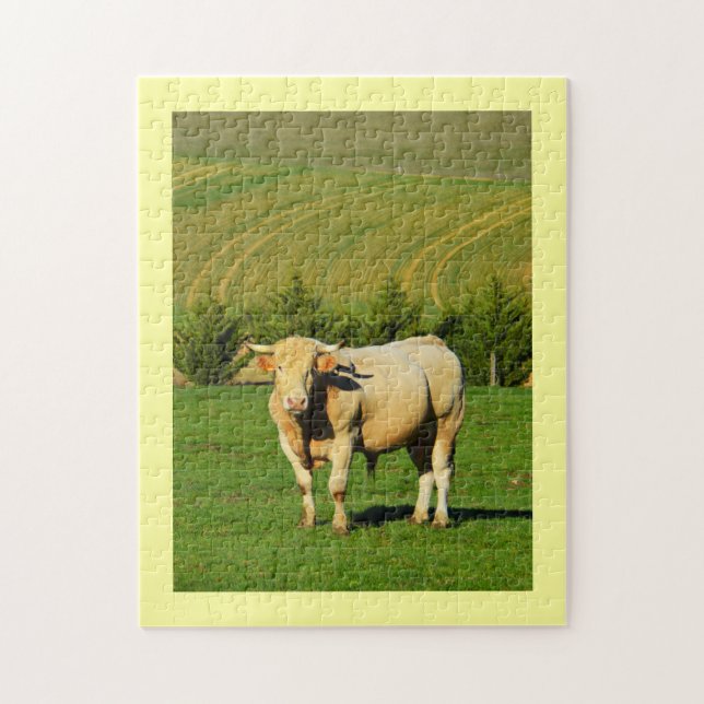 Puzzle taureau français (Vertical)