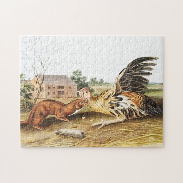 Puzzle Tawny Weasel (Putorius fuscus) Illustration (Horizontal)