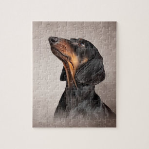 Puzzle Teckel de race de chien de dessin