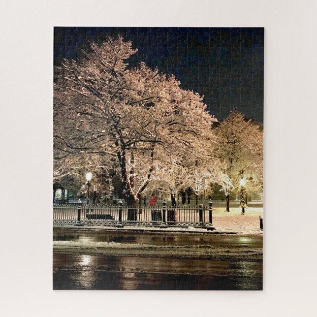 Puzzle Tempête de neige nocturne Salem Common Massachuset (Vertical)
