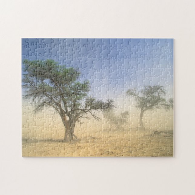 Puzzle Tempête de sable dans le désert du Kalahari, Kgala (Horizontal)
