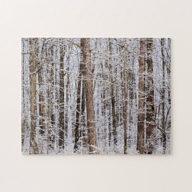 Puzzle Tempête de verglas en hiver dans la forêt - 11x14  (Horizontal)
