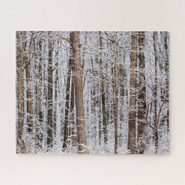 Puzzle Tempête de verglas en hiver dans la forêt - 16x20  (Horizontal)