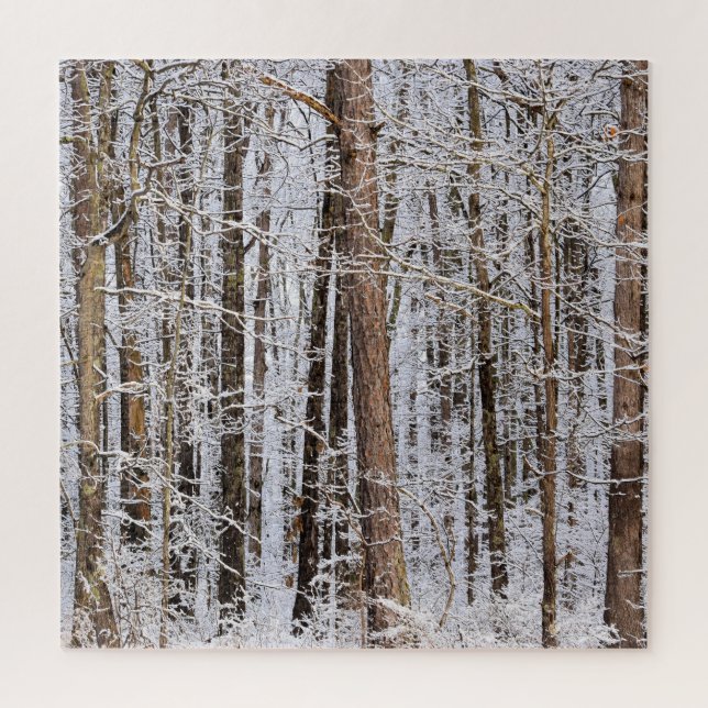 Puzzle Tempête de verglas en hiver dans la forêt - 20x20  (Vertical)