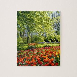 Puzzle Temps de tulipe, jardins chez Keukenhof