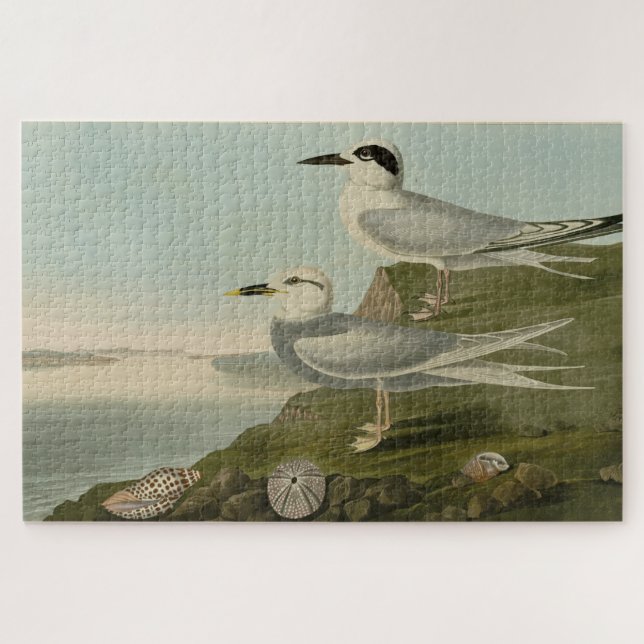 Puzzle Tern Audubon Birds of America de Havell et Trudeau (Horizontal)