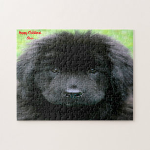 Puzzle Terre-Neuve.