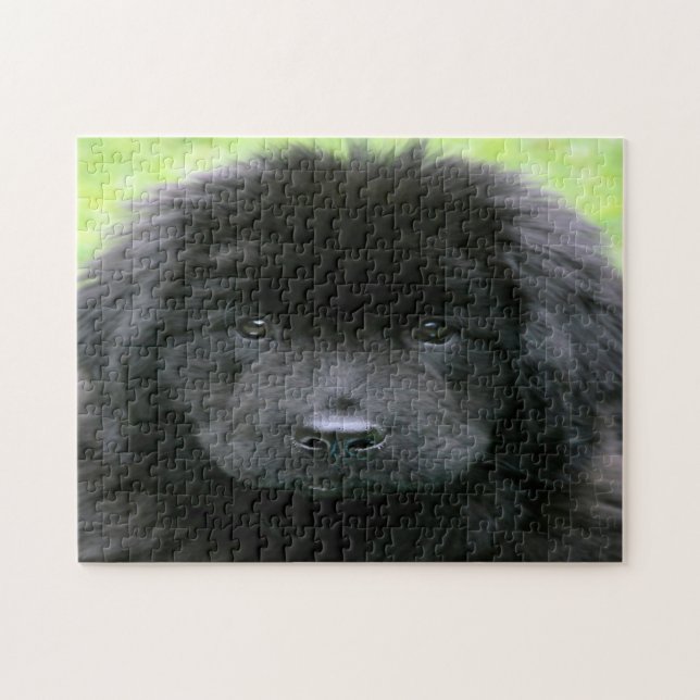 Puzzle Terre-Neuve. (Horizontal)