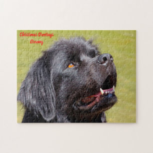 Puzzle Terre-Neuve.