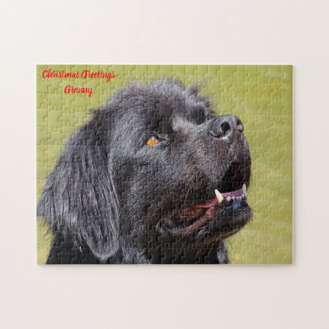 Puzzle Terre-Neuve. (Horizontal)