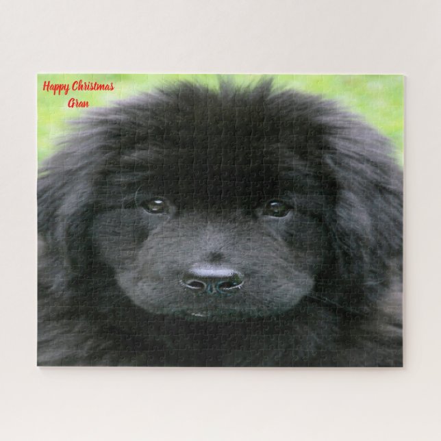 Puzzle Terre-Neuve. (Horizontal)