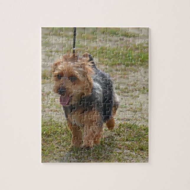 Puzzle Terrier australien mignon (Vertical)