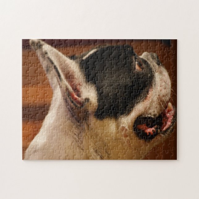 Puzzle Terrier de Boston (Horizontal)