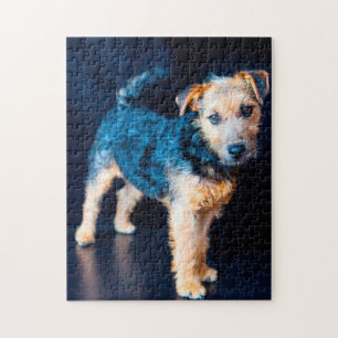 Puzzle Terrier de Lakeland.