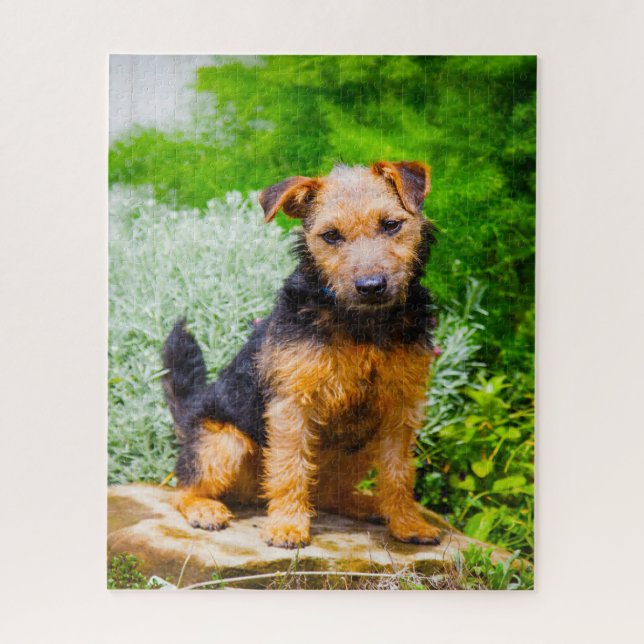 Puzzle Terrier de Lakeland. (Vertical)