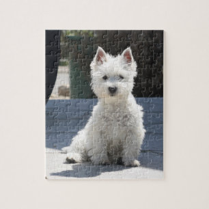 Puzzle Terrier des montagnes occidental blanc se reposant
