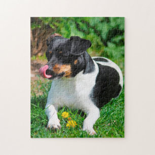 Puzzle Terrier Parson Russell.