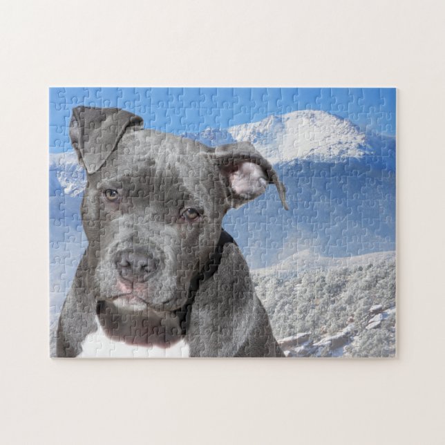 Puzzle Terrier Pitbull. (Horizontal)