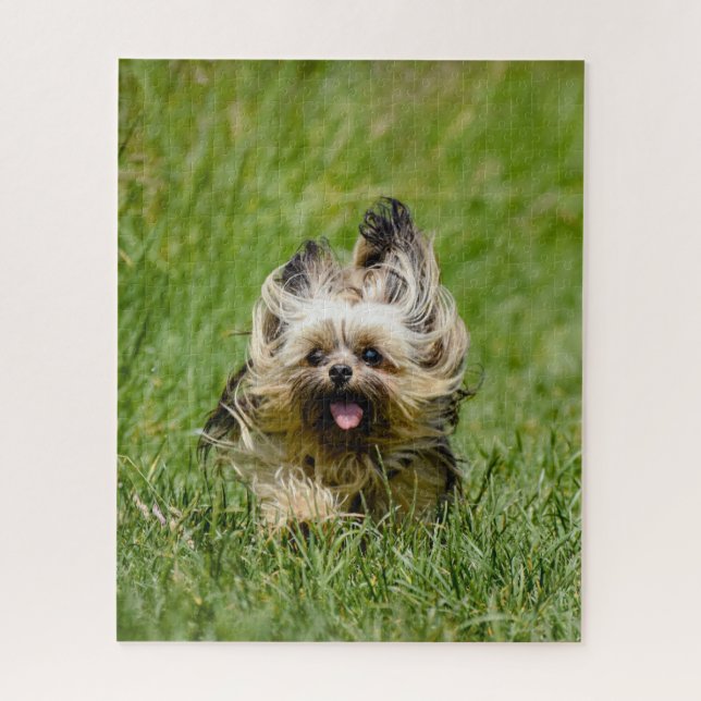 Puzzle Terrier Yorkshire mignon Traversant L'Herbe (Vertical)