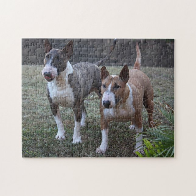 Puzzle Terriers des taureaux miniers (Horizontal)