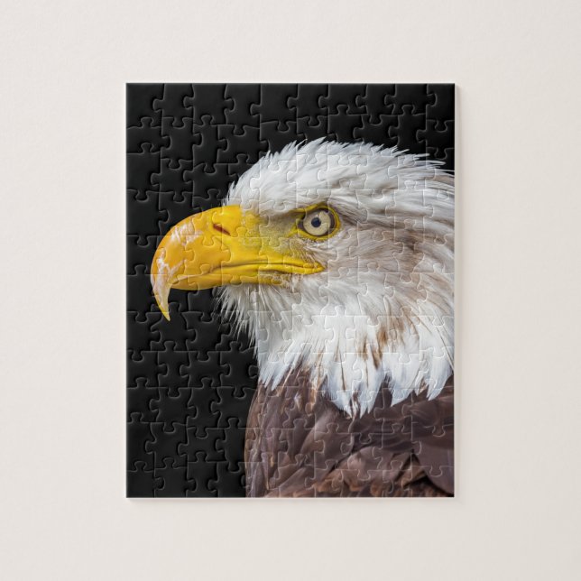 Puzzle Tête d'aigle chauve sur le noir (Vertical)
