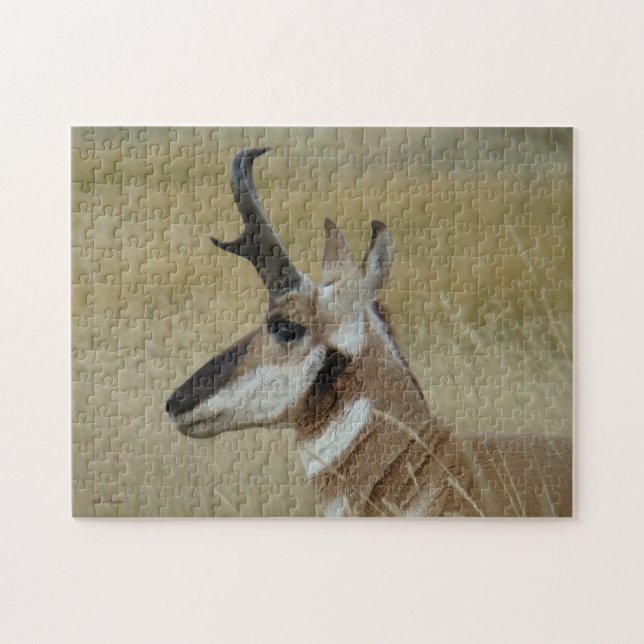Puzzle Tête d'Antilope d'Amérique A4 vue de profil (Horizontal)