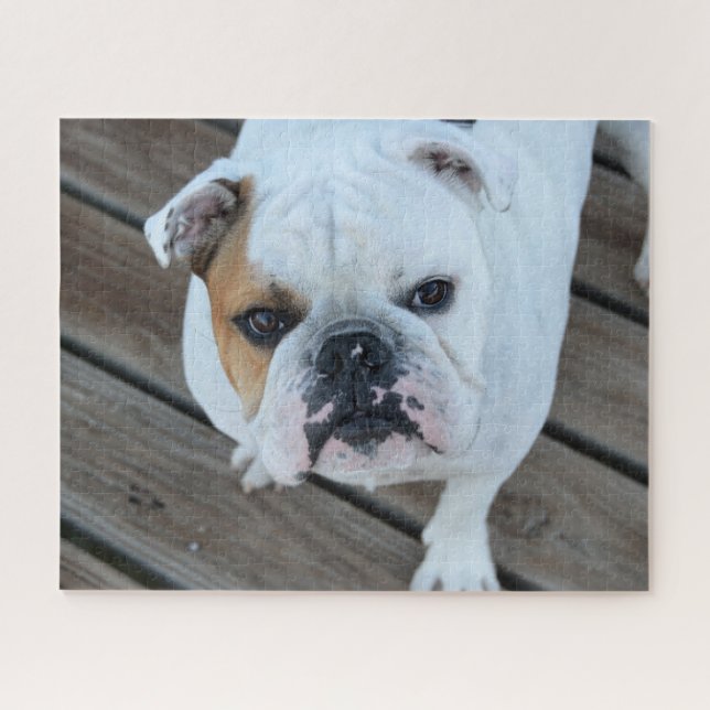 Puzzle Tête de bouledogue  (Horizontal)