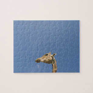 Puzzle Tête de Giraffe