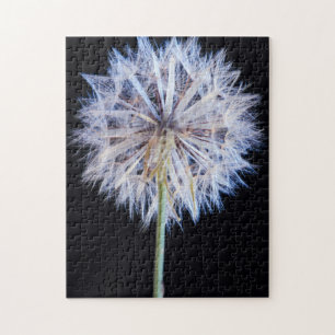 Puzzle Tête de graine de Pissenlit (Taraxacum Officinale)