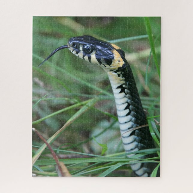 Puzzle Tête de serpent (Vertical)