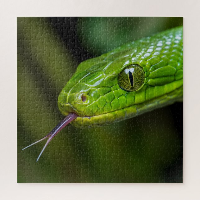 Puzzle Tête de serpent vert (Vertical)