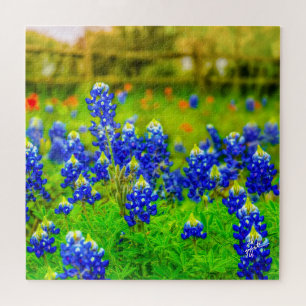 Puzzle Texas Bluebonnets Indian Floral Nature Travel