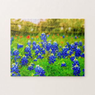 Puzzle Texas Bluebonnets Indian Floral Nature Travel