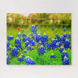 Puzzle Texas Bluebonnets Indian Paintbrush Floral