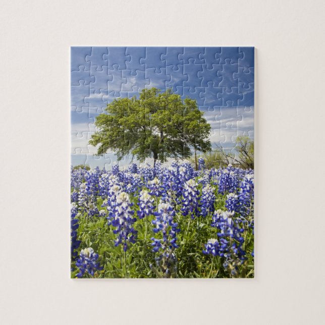 Puzzle Texas bluebonnets (lupinus texensis) et chêne (Vertical)