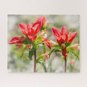 Puzzle Texas Indian Paintbrush Flowers sur blanc