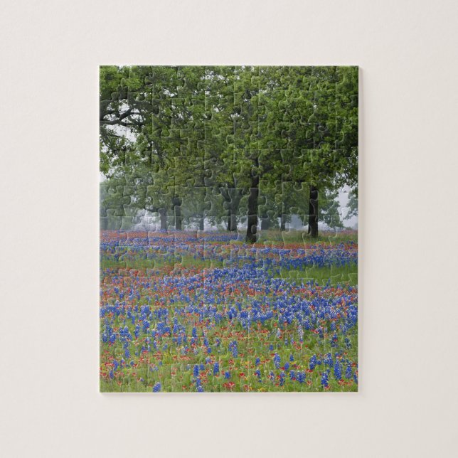 Puzzle Texas, Texas Hill Country, Texas Paintbrush et (Vertical)