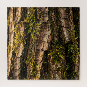 Puzzle Texture de l'écorce d'arbre forestier moussu