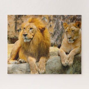 Puzzle The Big Cats Lions.