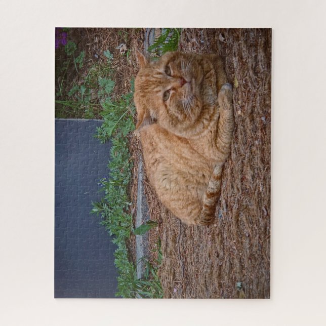 Puzzle The Master of the Sunny Path (Vertical)