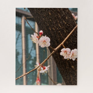 Puzzle The Noble Call of Korean Spring