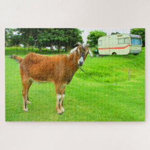 Puzzle THE QUIRKY GOAT 20x30 POUCES