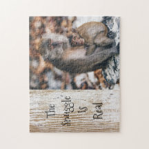 The Snuggle Is Real Hugging Parent Child Monkeys