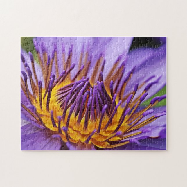 Puzzle Thème Nature Closetup Fleur d'eau Closeuse (Horizontal)